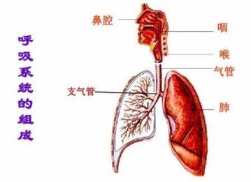 新生儿乳汁吸入性肺炎的原因