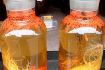 肉苁蓉怎么吃壮阳