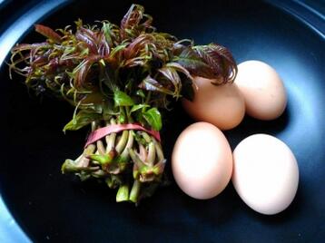 宝宝可以吃香椿炒鸡蛋吗