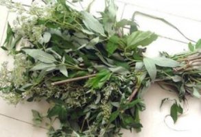 艾叶泡脚有什么好处