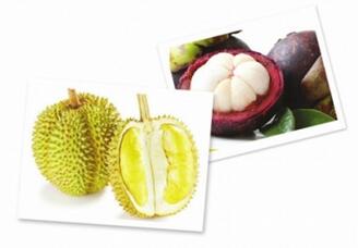 哺乳期妈妈可以吃榴莲吗