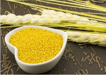 孕妇高血糖吃什么主食好