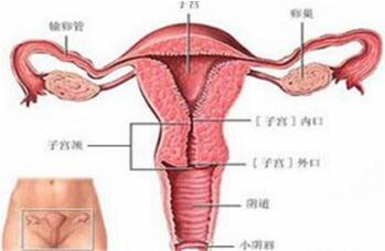子宫内膜厚度多少正常