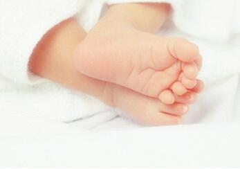 诗经中给女孩起名字大全