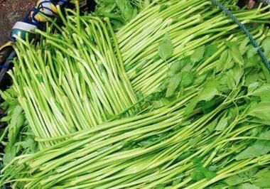 水芹菜和芹菜的区别