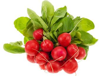 红萝卜的功效与作用