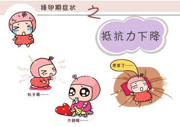 排卵期怎么算 排卵期有什么症状