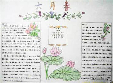 荷花手抄报内容图片