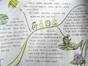 荷花手抄报内容图片