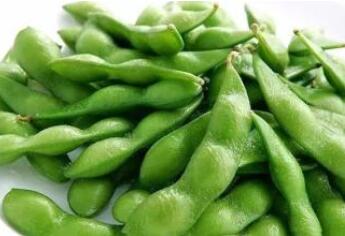 宝宝可以吃毛豆吗