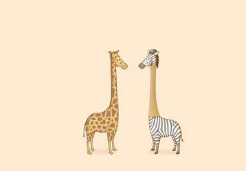 长颈鹿的英语单词是 giraffe