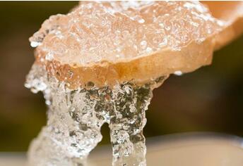 孕妇可以吃雪燕吗