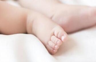 2019年毛姓取名大全