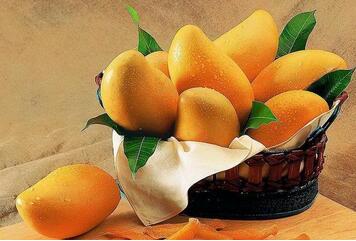 芒果吃多了会怎么样