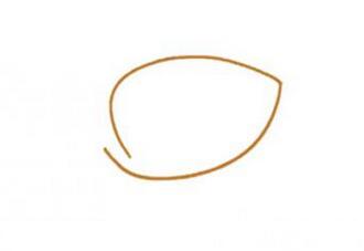 马蹄莲花朵简笔画步骤图片