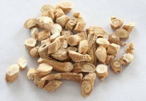 板蓝根的功效与作用