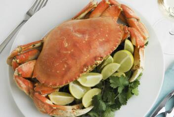 刚怀孕的孕妇不能吃什么