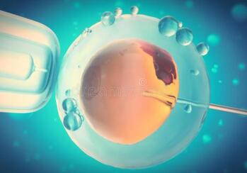 什么是体外受精