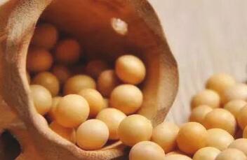 10种素食催奶食材，不用大鱼大肉奶水也能多起来