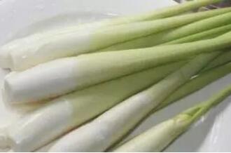 10种素食催奶食材，不用大鱼大肉奶水也能多起来