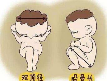 足月儿双顶径多少算正常