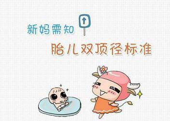 足月儿双顶径多少算正常