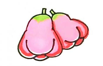 彩色水果莲雾简笔画步骤图片