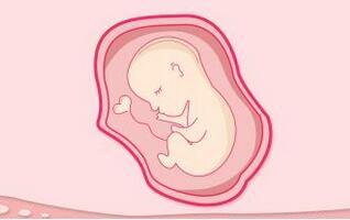 孕囊看男女怎么看