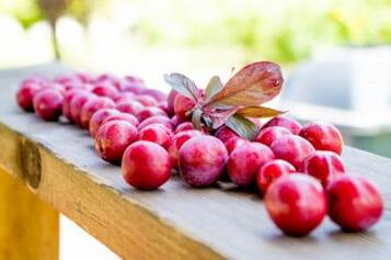夏天吃什么水果减肥效果好