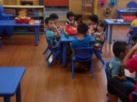 幼儿园小班危险的东西不要碰安全教案