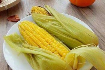 什么人不适合吃玉米