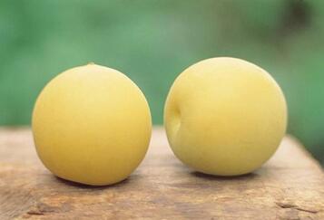 产妇不能吃什么水果