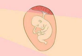 什么时候开始光照胎教