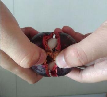 山竹怎么吃 怎么剥