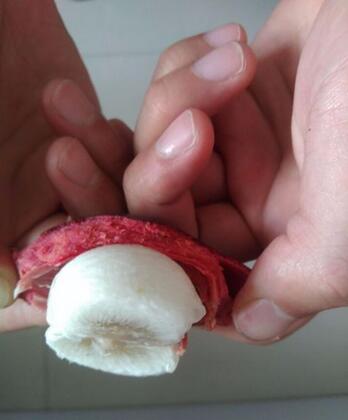 山竹怎么吃 怎么剥