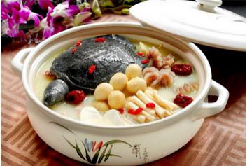 甲鱼有什么功效