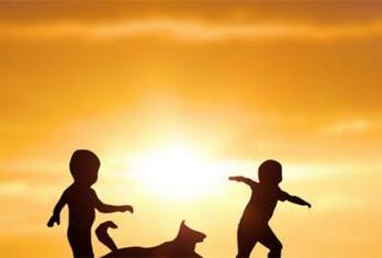 好听的男孩的小名属鼠