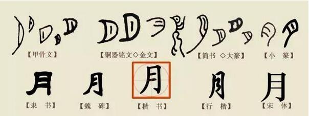 文字的演变过程、来历起源，5本书探秘文字背后的秘密