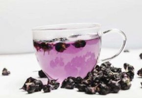 黑枸杞一次泡几颗 掌握数量效果最好