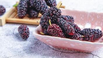 桑葚泡酒的注意事项