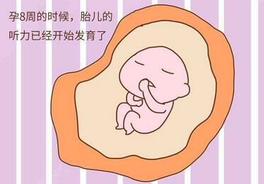 鞭炮声对胎儿的影响