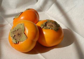 一岁宝宝吃柿子注意事项