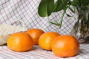 一岁宝宝吃柿子多少合适