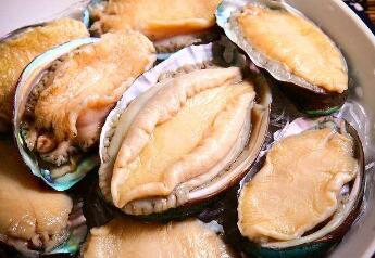 宝宝吃鲍鱼注意事项