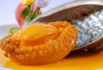 宝宝吃鲍鱼的好处