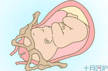 头盆不称的标准值