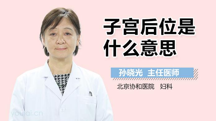 子宫后位是什么意思