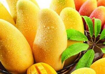 怎么吃芒果不过敏