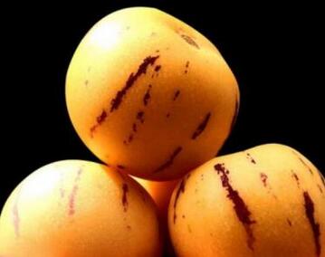 人参果里面发黑是什么原因
