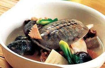 黄芪杞子炖甲鱼汤